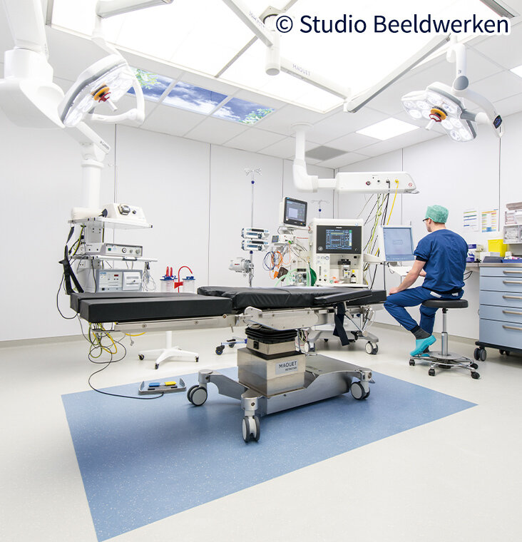 ノラプランsigna ed