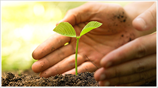 SDGsへの取り組み