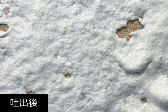 吐出後