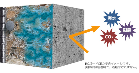 RCガードCEの浸透イメージです。実際は無色透明で、着色はされません。
