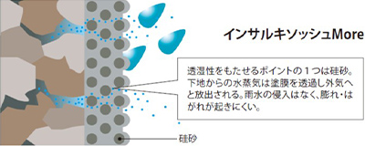 インサルキソッシュMore