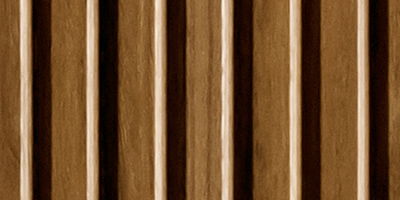 タンボア カラー