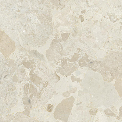 ペトラ ヴィヴァ カラー