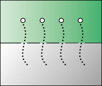 5.養生