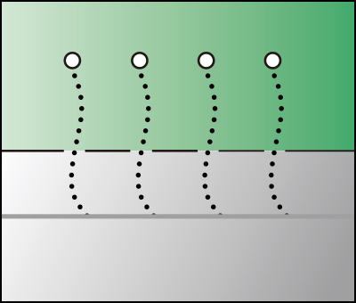 5.養生