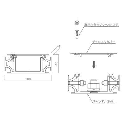 ヴェロニカ断面図