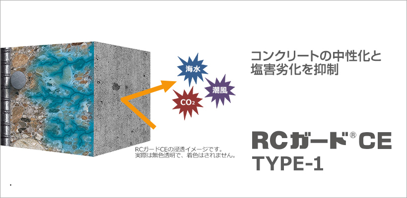 RCガードCE TYPE-1