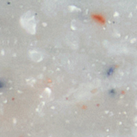 コーリアンシート