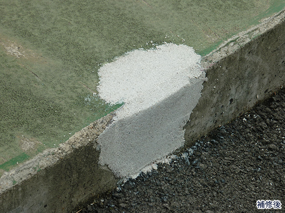 プラントリペア 穴モル