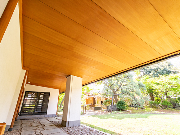 ワイティープルーフW