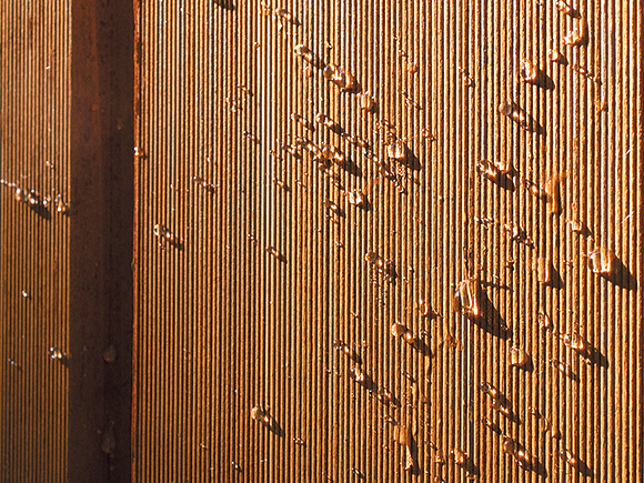 ワイティープルーフW