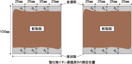 塩害対策