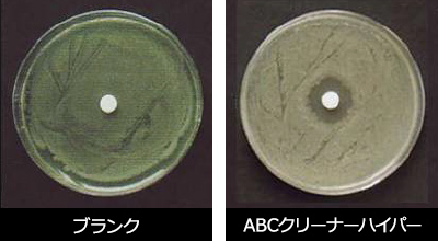 大腸菌試験