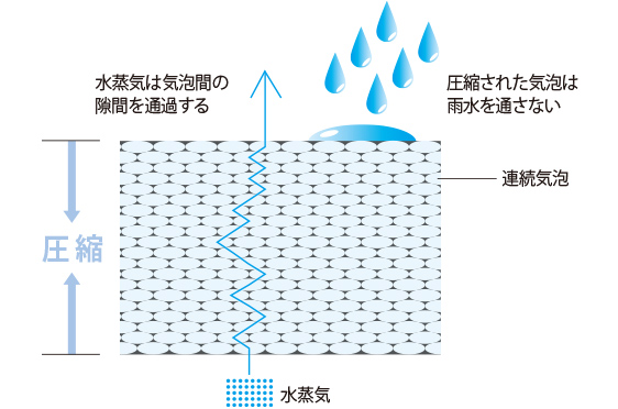 イルモドの構造