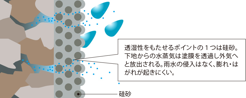 インサルキソッシュMore