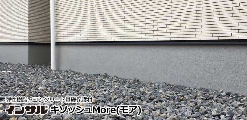 キソッシュMore