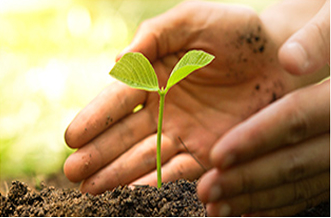 SDGsへの取り組みの画像