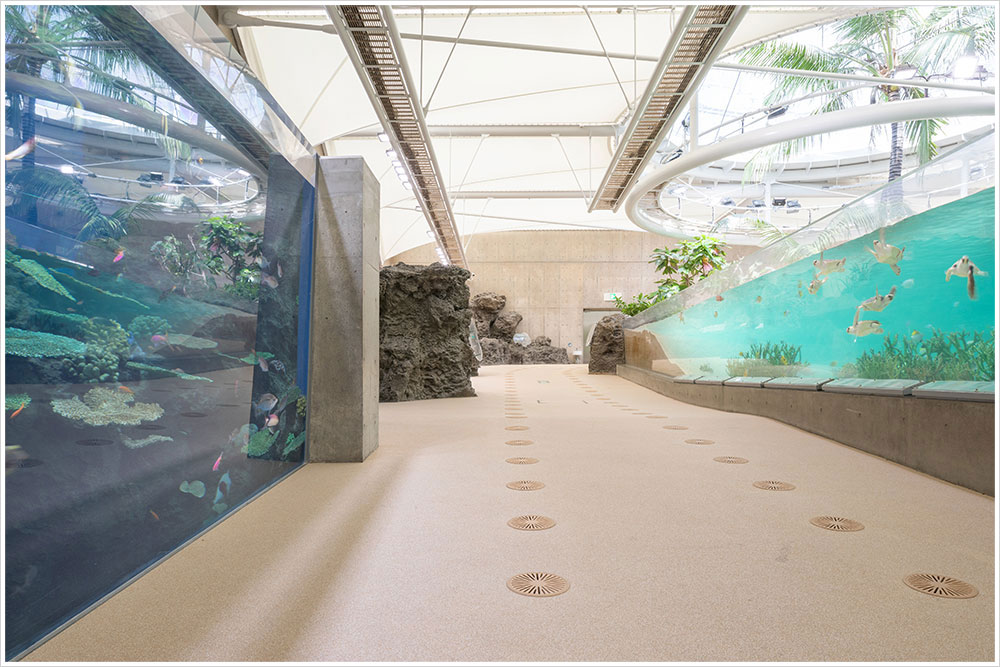 鴨川シーワールド トロピカルアイランド改修工事の施工写真