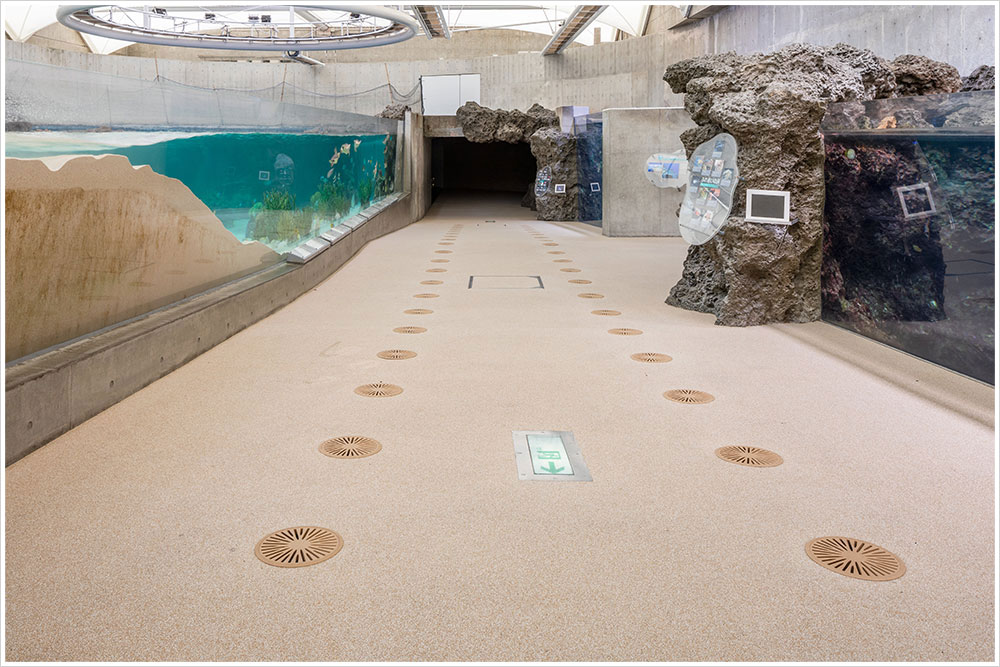 鴨川シーワールド トロピカルアイランド改修工事の施工写真