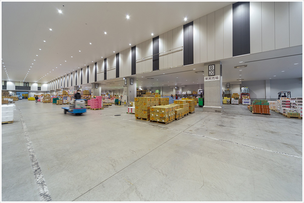 東京都中央卸売市場 豊洲市場の施工写真